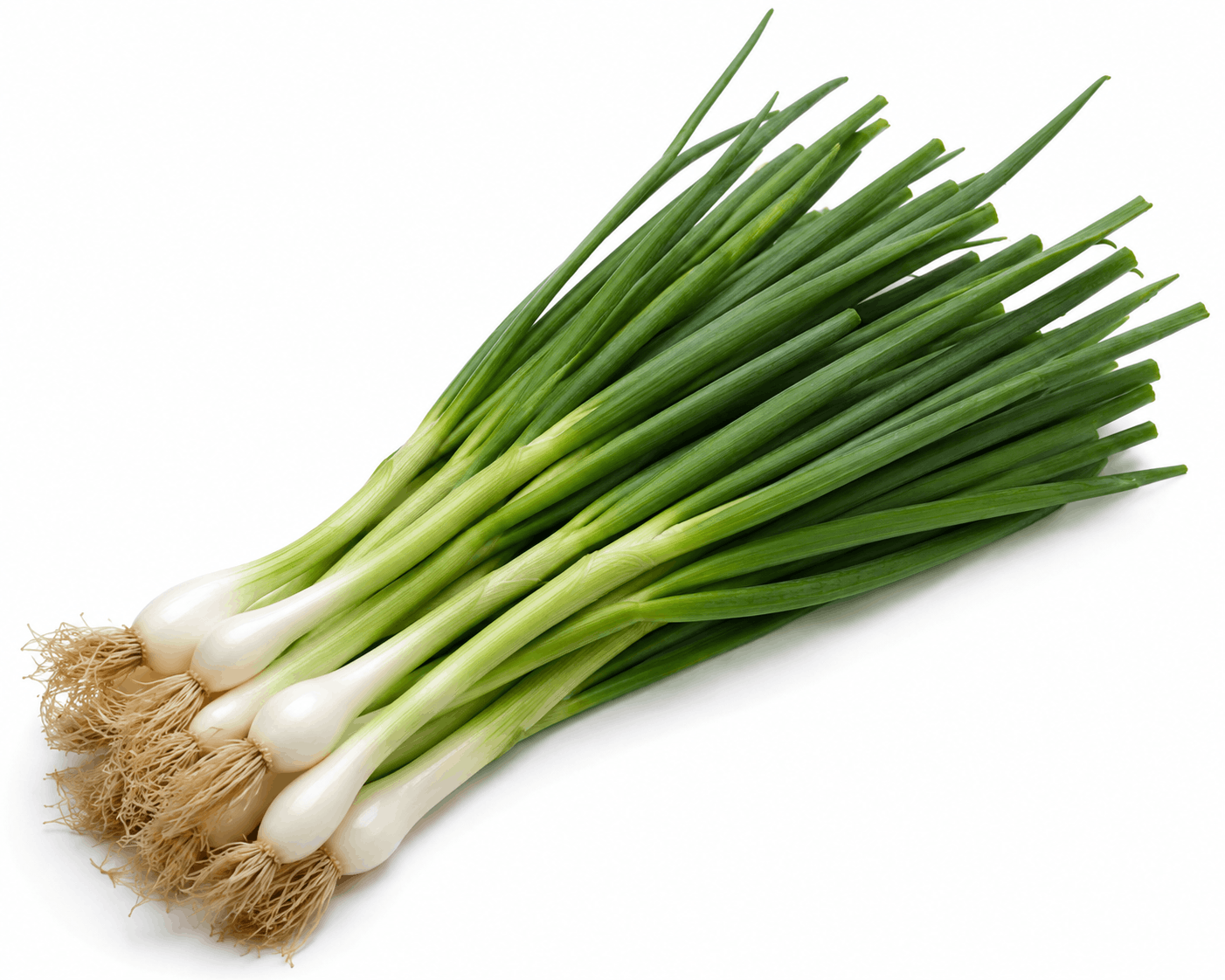 Spring Onion